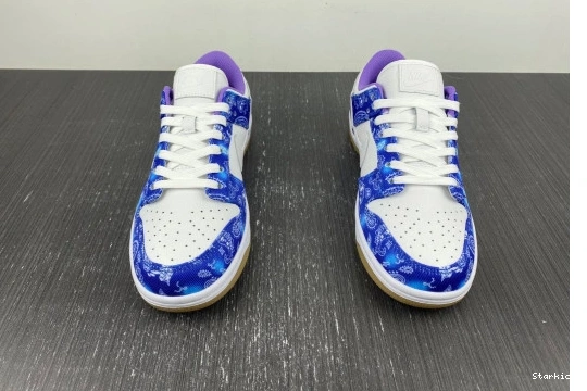 Low SB White Dunk CT5053-041 Navy Nike Blue Purple 0110